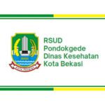 logo rsud pondok geded